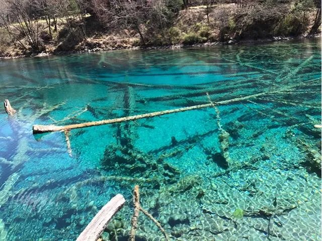九寨沟地震过后又形成新的景点,你还会去吗?