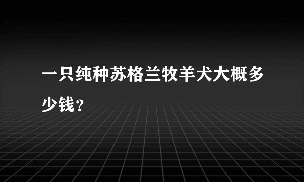 一只纯种苏格兰牧羊犬大概多少钱？