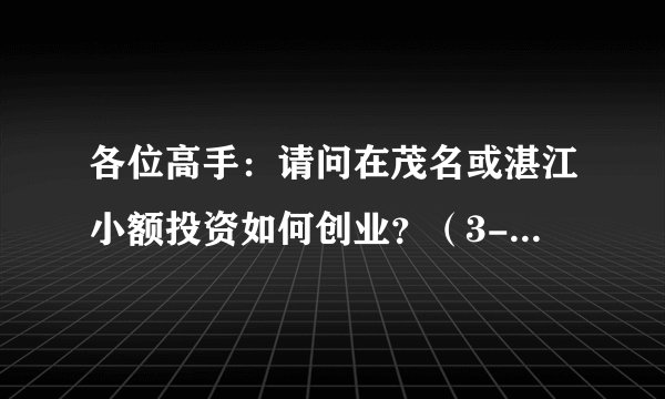 各位高手：请问在茂名或湛江小额投资如何创业？（3-5万元）？