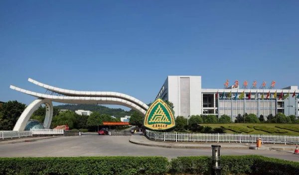 当代大学生现状，80%空闲时间蜗居宿舍，真的是因为沉迷游戏吗