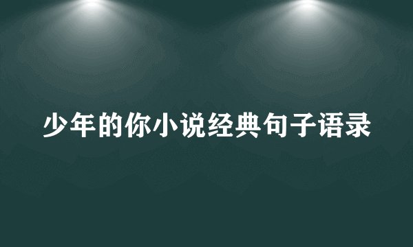 少年的你小说经典句子语录