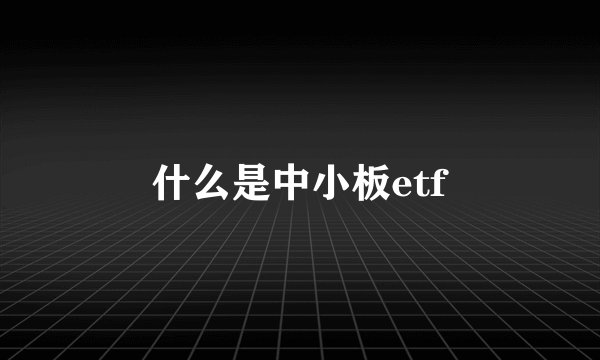 什么是中小板etf