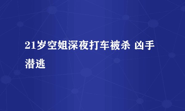 21岁空姐深夜打车被杀 凶手潜逃