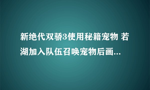 新绝代双骄3使用秘籍宠物 若湖加入队伍召唤宠物后画面就卡住了