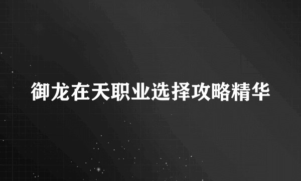 御龙在天职业选择攻略精华