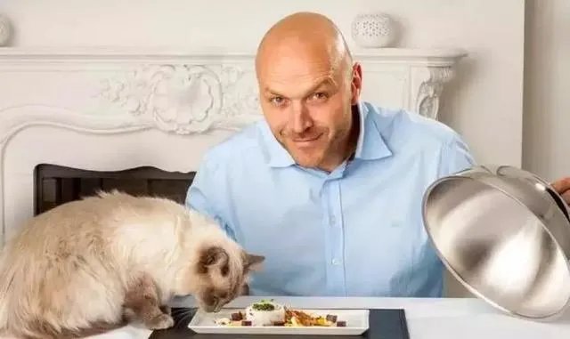 猫好养吗