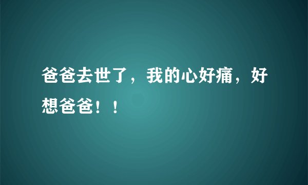 爸爸去世了，我的心好痛，好想爸爸！！