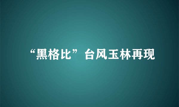 “黑格比”台风玉林再现