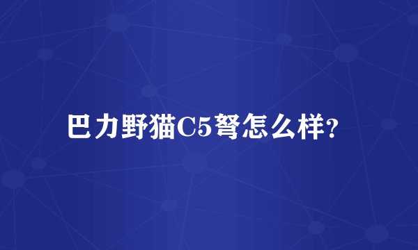 巴力野猫C5弩怎么样？