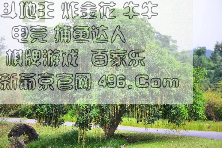 哪个手机游戏有港式五张