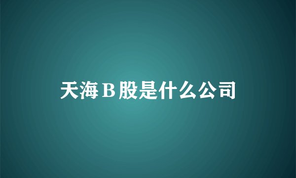 天海Ｂ股是什么公司