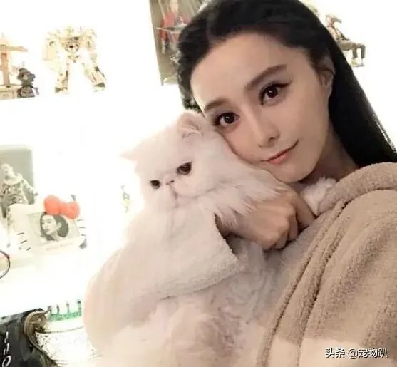 你知道哪些明星,在家养有什么样的宠物呢?