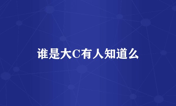 谁是大C有人知道么