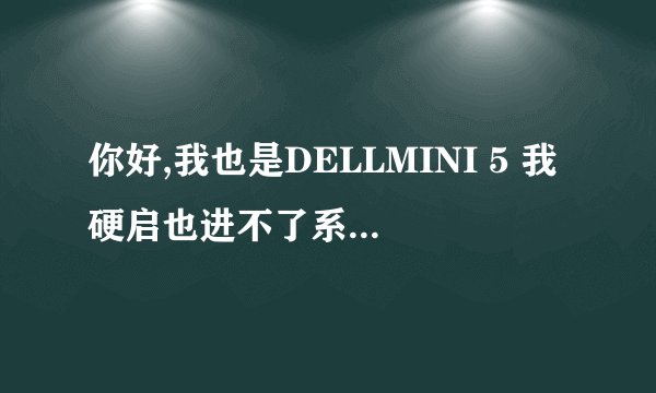 你好,我也是DELLMINI 5 我硬启也进不了系统,可以教我怎么刷机吗?