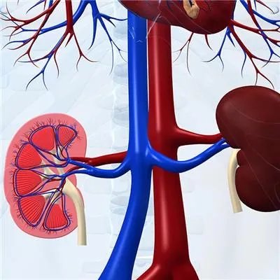 肾透析的缺点