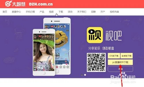 大智慧视吧直播pc电脑版软件哪里能下载?