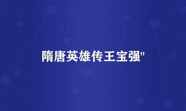 隋唐英雄传王宝强
