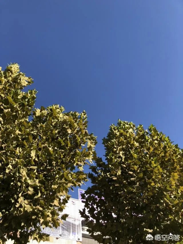 八十多岁的老太太病危,亲人要抢救,但老人叫孩子不要抢救了,你怎么看?