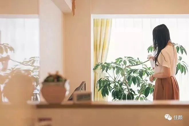买房、独居、不婚、不生,这届女性实在是太牛了!