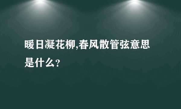 暖日凝花柳,春风散管弦意思是什么？