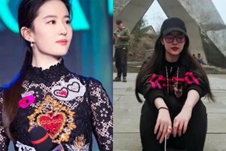刘亦菲探班好友人缘广 后院收养流浪猫竟多达几十只