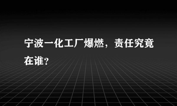 宁波一化工厂爆燃，责任究竟在谁？