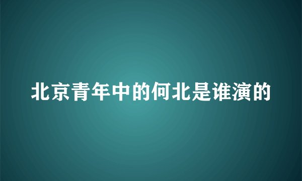 北京青年中的何北是谁演的