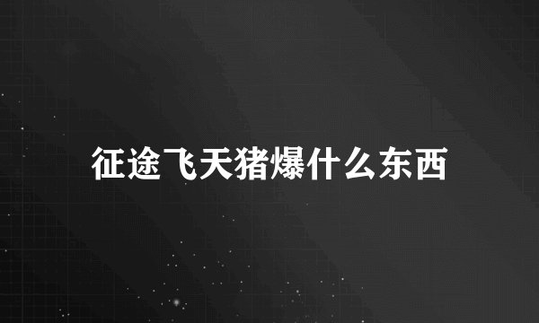 征途飞天猪爆什么东西