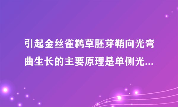 引起金丝雀鹣草胚芽鞘向光弯曲生长的主要原理是单侧光照会引起A。生长素合成增多            B。生长素横向运输C。生长素分解增多            D。生长素极性运输加强