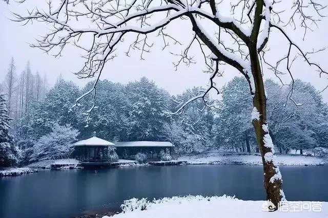 为什么今年广东、杭州都下雪了?