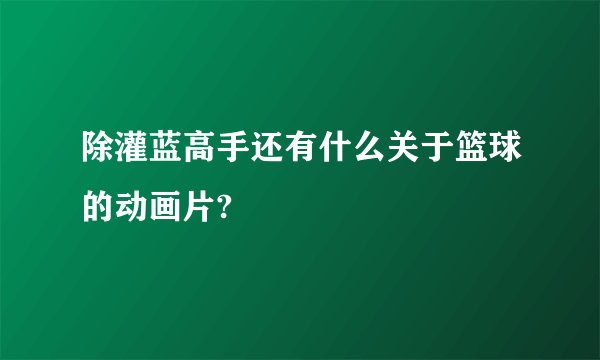 除灌蓝高手还有什么关于篮球的动画片?