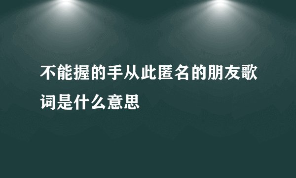 不能握的手从此匿名的朋友歌词是什么意思
