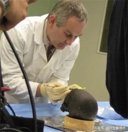 来自于2600年前的“活大脑”,是怎样活到现在的?
