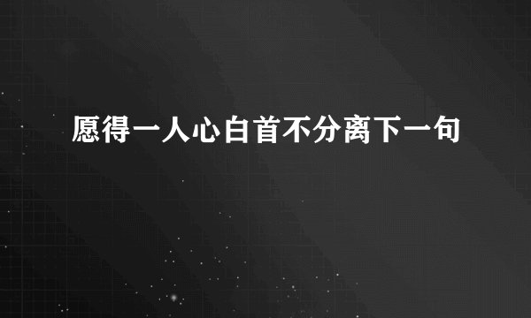 愿得一人心白首不分离下一句