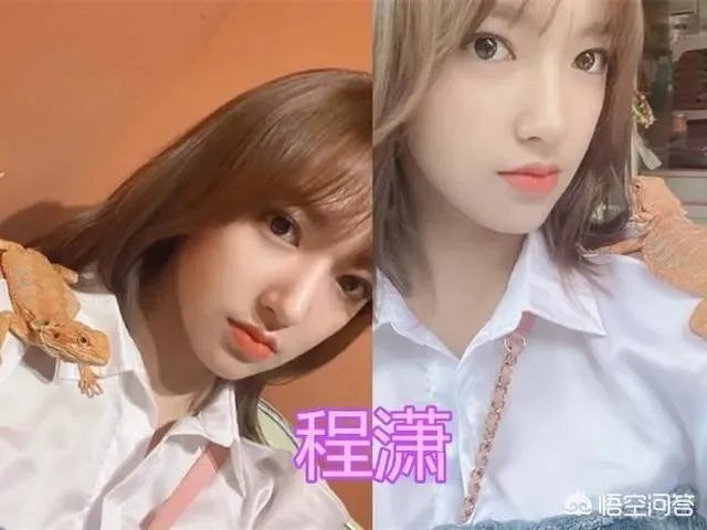 你知道哪些明星,在家养有什么样的宠物呢?