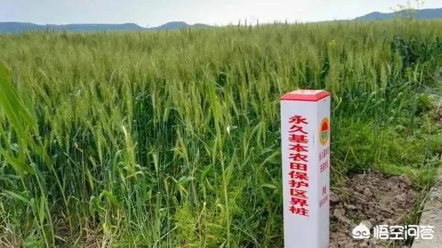 在自己家的耕地上建了一个养殖场,现在说属于违建要拆,该怎么办啊?