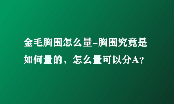 金毛胸围怎么量-胸围究竟是如何量的，怎么量可以分A？