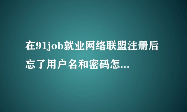 在91job就业网络联盟注册后 忘了用户名和密码怎么办？？？ - 芝士回答