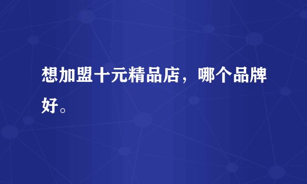 想加盟十元精品店，哪个品牌好。