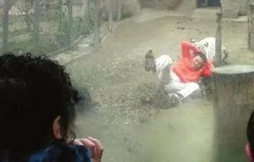 都有哪些老虎伤人事件?