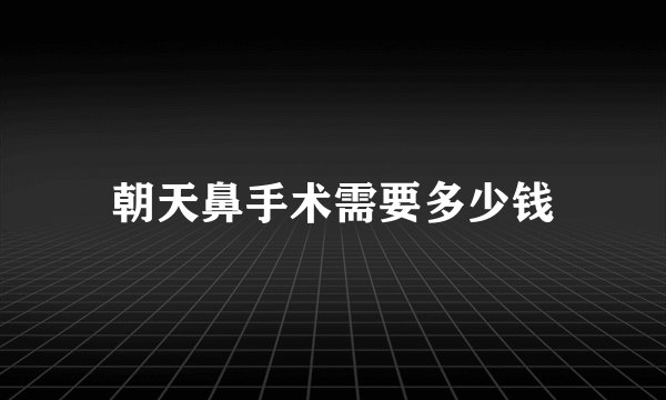 朝天鼻手术需要多少钱