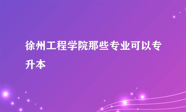 徐州工程学院那些专业可以专升本