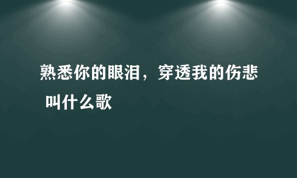 熟悉你的眼泪,穿透我的伤悲 叫什么歌