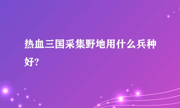 热血三国采集野地用什么兵种好?