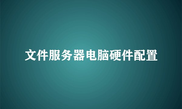 文件服务器电脑硬件配置