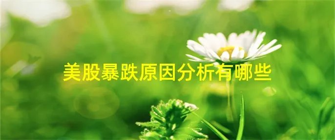 美股暴跌原因分析有哪些