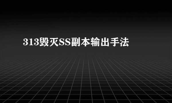 313毁灭SS副本输出手法