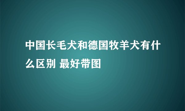 中国长毛犬和德国牧羊犬有什么区别 最好带图