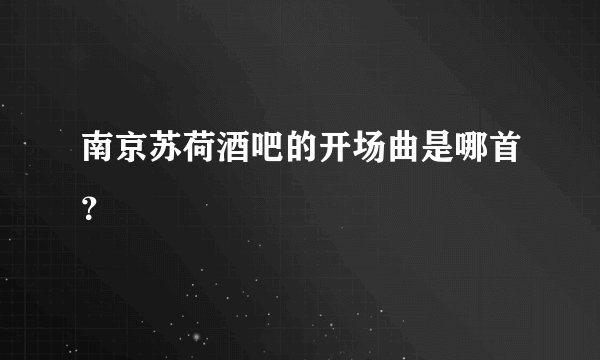南京苏荷酒吧的开场曲是哪首？