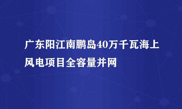 广东阳江南鹏岛40万千瓦海上风电项目全容量并网